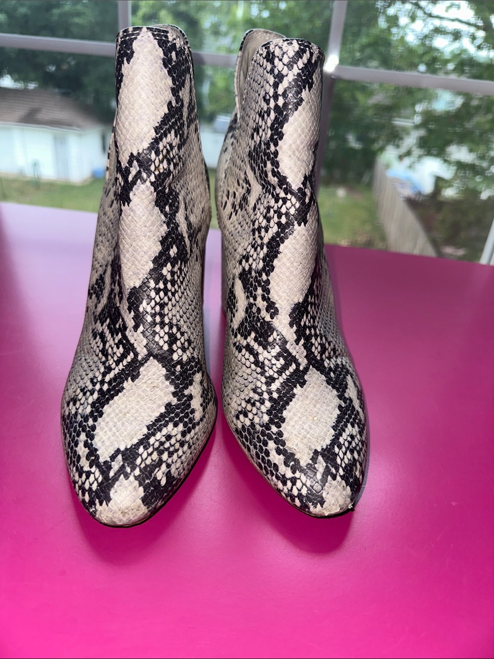 Steve Madden White and Black Snake-Print Ankle Boots